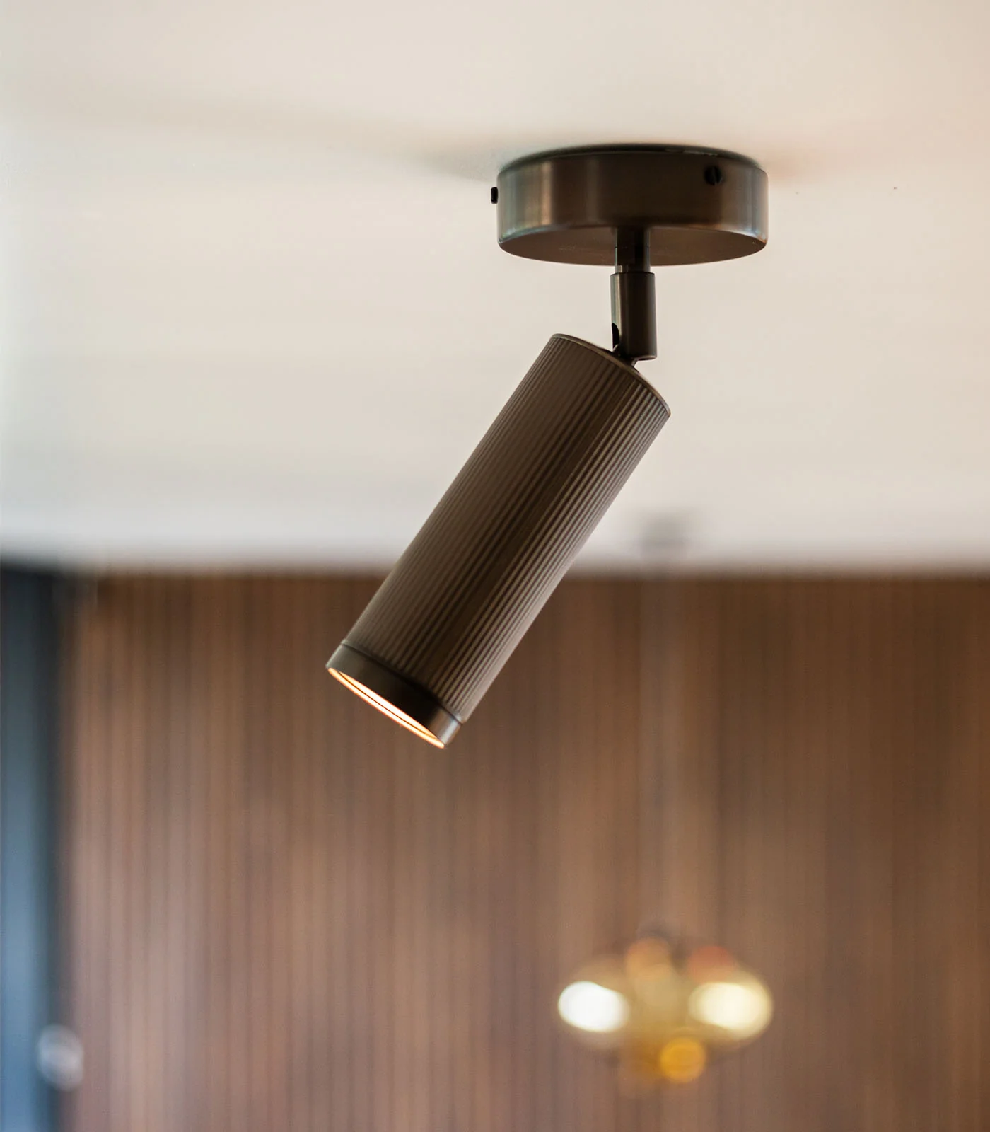 Spot Ceiling Light